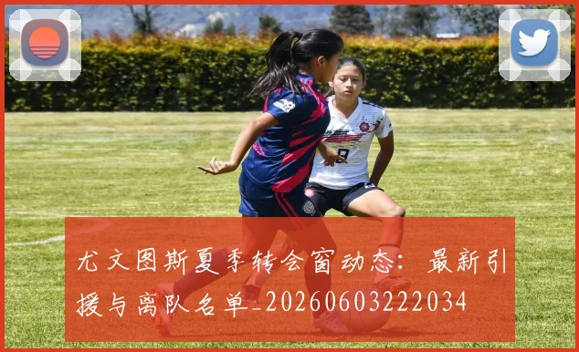尤文图斯夏季转会窗动态：最新引援与离队名单_20260603222034